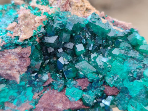 Natural Dioptase on Dolomite Specimens x 3 From Likasi, Congo - Toprock Gemstones and Minerals 