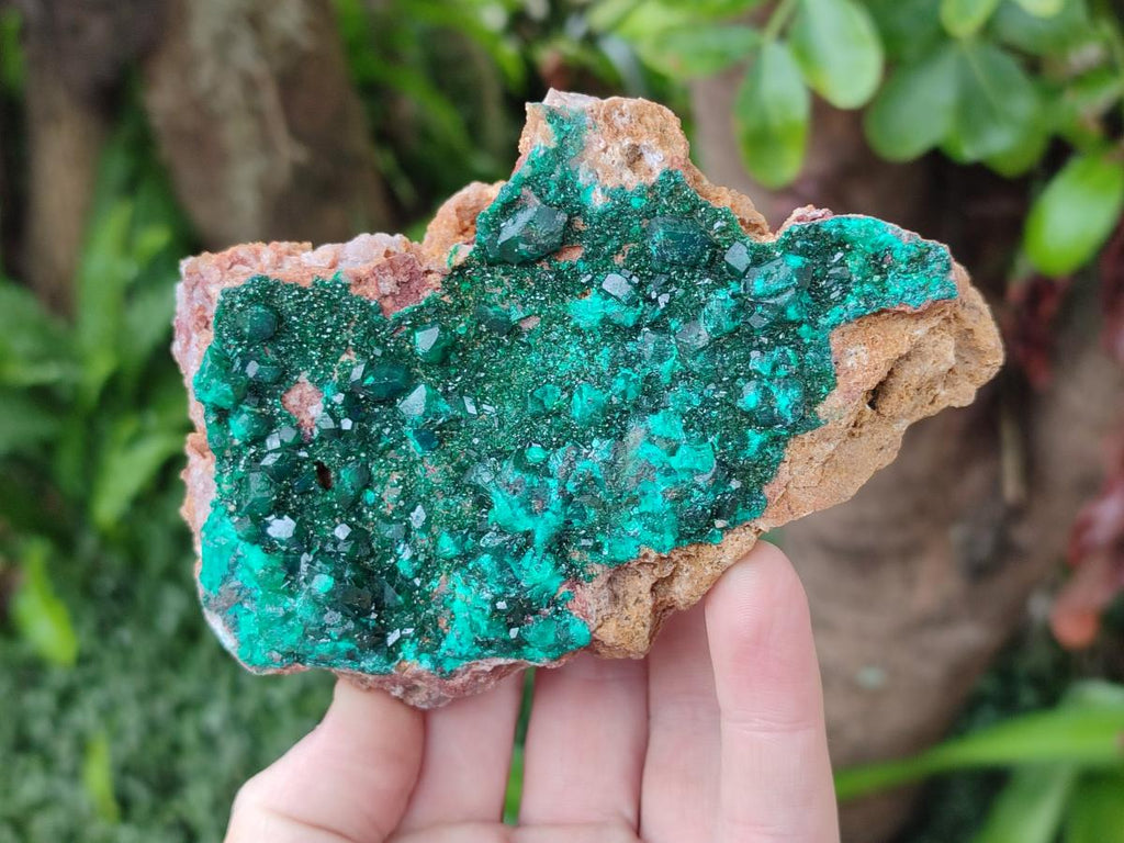 Natural Dioptase on Dolomite Specimens x 3 From Likasi, Congo - Toprock Gemstones and Minerals 