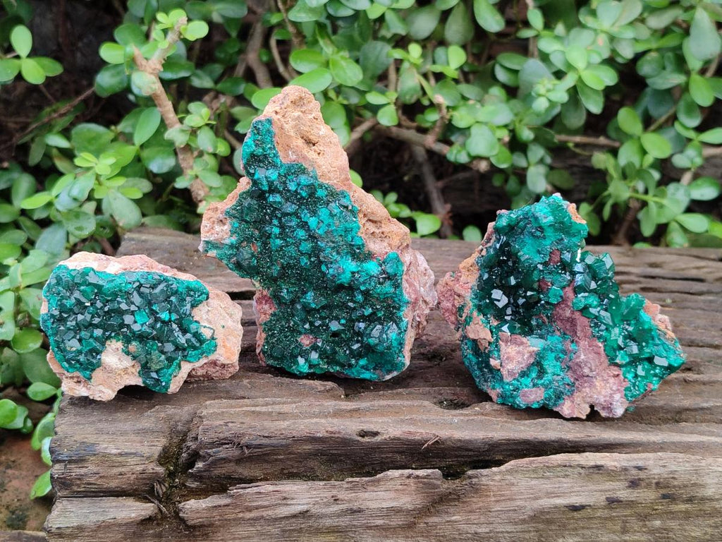 Natural Dioptase on Dolomite Specimens x 3 From Likasi, Congo - Toprock Gemstones and Minerals 