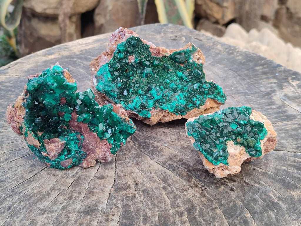 Natural Dioptase on Dolomite Specimens x 3 From Likasi, Congo - Toprock Gemstones and Minerals 