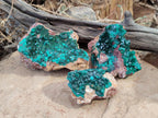 Natural Dioptase on Dolomite Specimens x 3 From Likasi, Congo - Toprock Gemstones and Minerals 