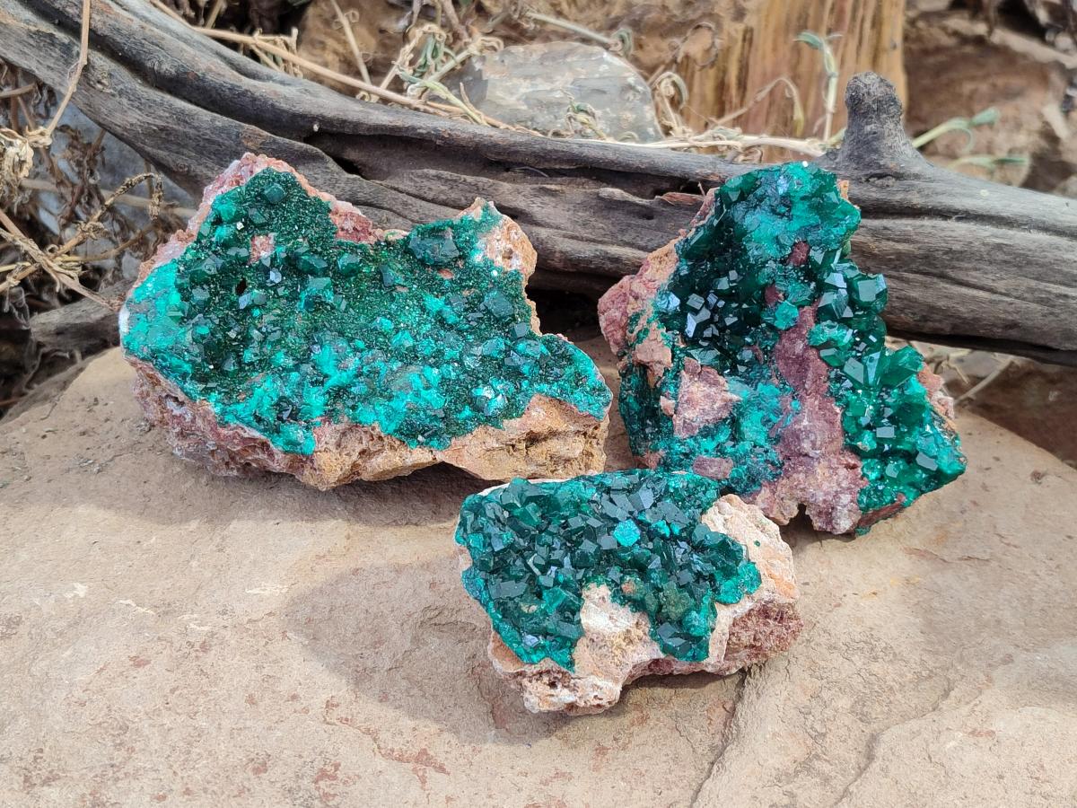 Natural Dioptase on Dolomite Specimens x 3 From Likasi, Congo - Toprock Gemstones and Minerals 