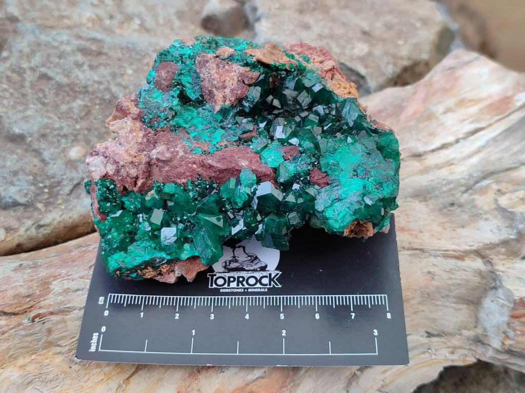 Natural Dioptase on Dolomite Specimens x 3 From Likasi, Congo - Toprock Gemstones and Minerals 