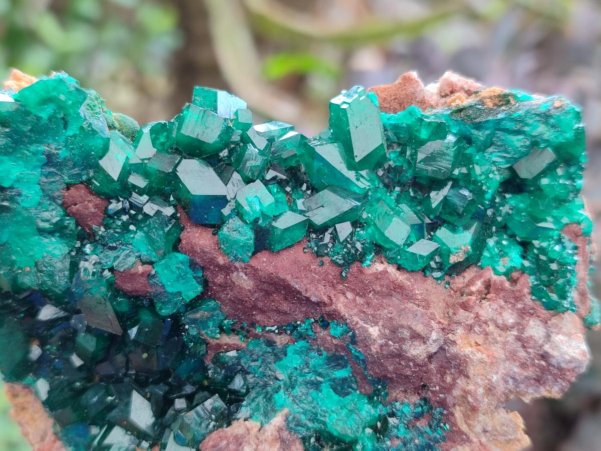 Natural Dioptase on Dolomite Specimens x 3 From Likasi, Congo - Toprock Gemstones and Minerals 