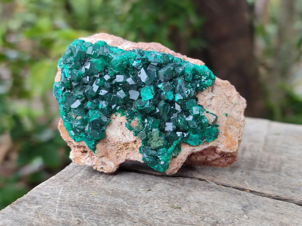 Natural Dioptase on Dolomite Specimens x 3 From Likasi, Congo - Toprock Gemstones and Minerals 