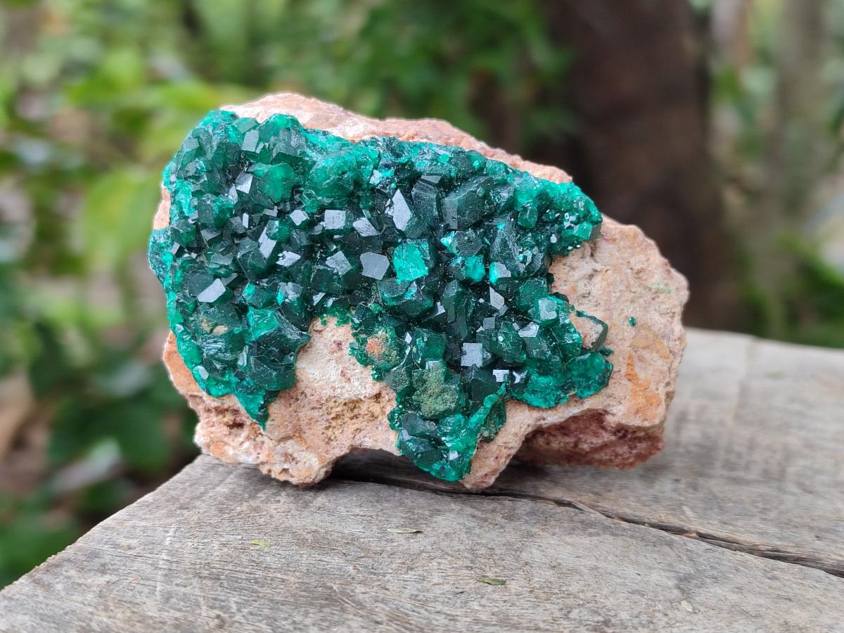 Natural Dioptase on Dolomite Specimens x 3 From Likasi, Congo - Toprock Gemstones and Minerals 