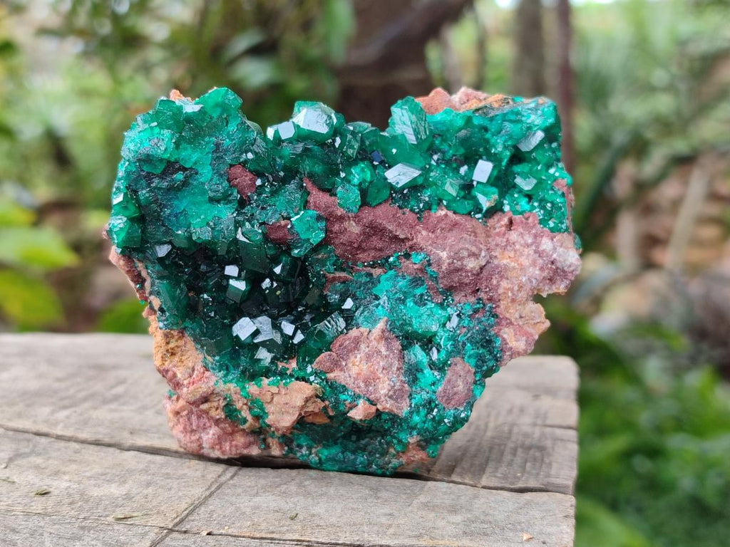 Natural Dioptase on Dolomite Specimens x 3 From Likasi, Congo - Toprock Gemstones and Minerals 