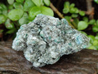 Natural Emerald Mica 'Mutokolite' Cobbed Specimens x 14 From Mutoko, Zimbabwe - Toprock Gemstones and Minerals 