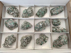 Natural Emerald Mica 'Mutokolite' Cobbed Specimens x 14 From Mutoko, Zimbabwe - Toprock Gemstones and Minerals 