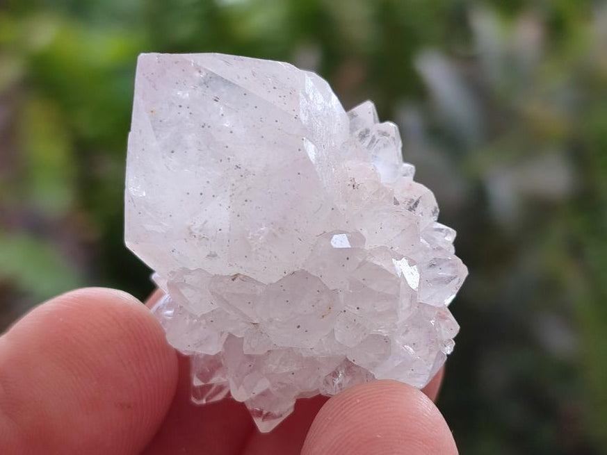 Natural Pale Lilac Spirit Amethyst Drusy Clusters x 70 From Boekenhouthoek, South Africa - Toprock Gemstones and Minerals 