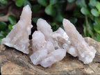 Natural Pale Lilac Spirit Amethyst Drusy Clusters x 70 From Boekenhouthoek, South Africa - Toprock Gemstones and Minerals 