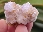 Natural Pale Lilac Spirit Amethyst Drusy Clusters x 70 From Boekenhouthoek, South Africa - Toprock Gemstones and Minerals 