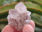 Natural Pale Lilac Spirit Amethyst Drusy Clusters x 70 From Boekenhouthoek, South Africa - Toprock Gemstones and Minerals 