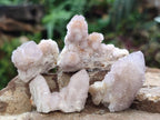Natural Pale Lilac Spirit Amethyst Drusy Clusters x 70 From Boekenhouthoek, South Africa - Toprock Gemstones and Minerals 