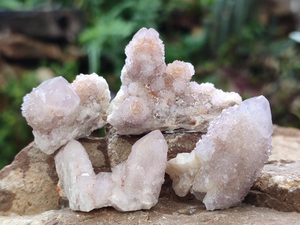 Natural Pale Lilac Spirit Amethyst Drusy Clusters x 70 From Boekenhouthoek, South Africa - Toprock Gemstones and Minerals 