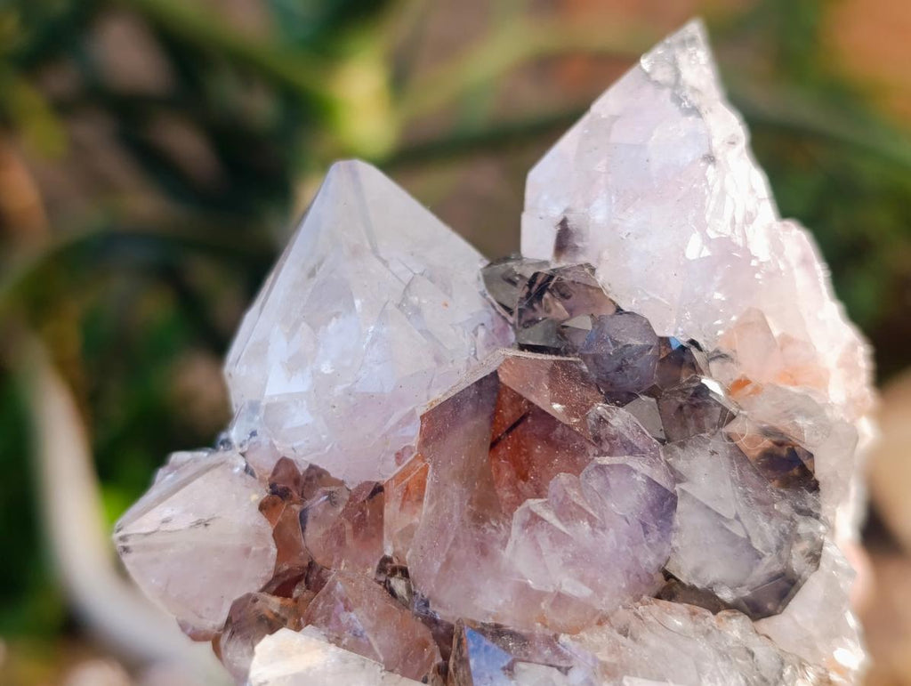 Natural Golden Limonite Phantom Spirit Quartz Clusters x 3 From Boekenhouthoek, South Africa - Toprock Gemstones and Minerals 