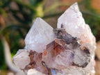Natural Golden Limonite Phantom Spirit Quartz Clusters x 3 From Boekenhouthoek, South Africa - Toprock Gemstones and Minerals 