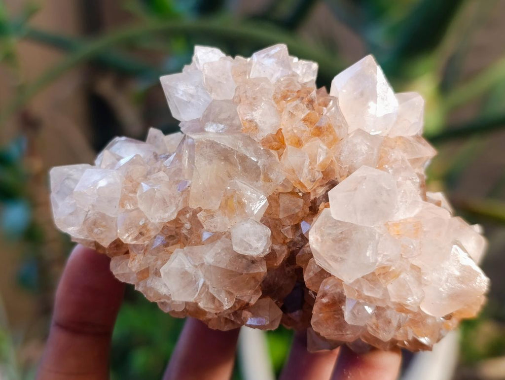 Natural Golden Limonite Phantom Spirit Quartz Clusters x 3 From Boekenhouthoek, South Africa - Toprock Gemstones and Minerals 