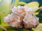 Natural Golden Limonite Phantom Spirit Quartz Clusters x 3 From Boekenhouthoek, South Africa - Toprock Gemstones and Minerals 