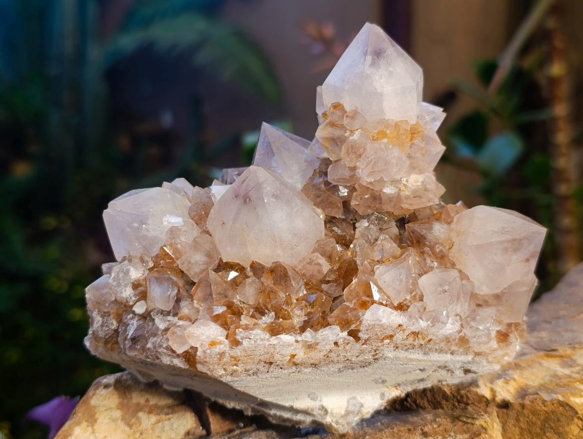 Natural Golden Limonite Phantom Spirit Quartz Clusters x 3 From Boekenhouthoek, South Africa - Toprock Gemstones and Minerals 