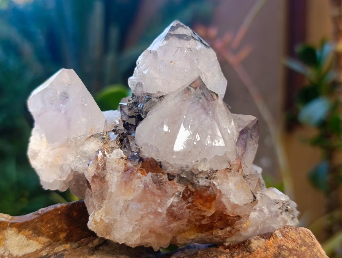 Natural Golden Limonite Phantom Spirit Quartz Clusters x 3 From Boekenhouthoek, South Africa - Toprock Gemstones and Minerals 