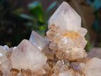 Natural Golden Limonite Phantom Spirit Quartz Clusters x 3 From Boekenhouthoek, South Africa - Toprock Gemstones and Minerals 