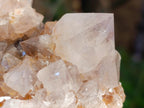 Natural Golden Limonite Phantom Spirit Quartz Clusters x 3 From Boekenhouthoek, South Africa - Toprock Gemstones and Minerals 