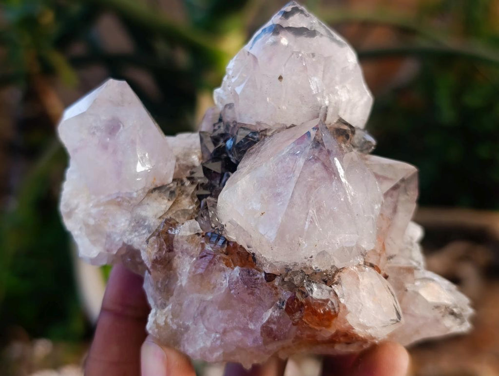 Natural Golden Limonite Phantom Spirit Quartz Clusters x 3 From Boekenhouthoek, South Africa - Toprock Gemstones and Minerals 