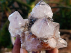 Natural Golden Limonite Phantom Spirit Quartz Clusters x 3 From Boekenhouthoek, South Africa - Toprock Gemstones and Minerals 