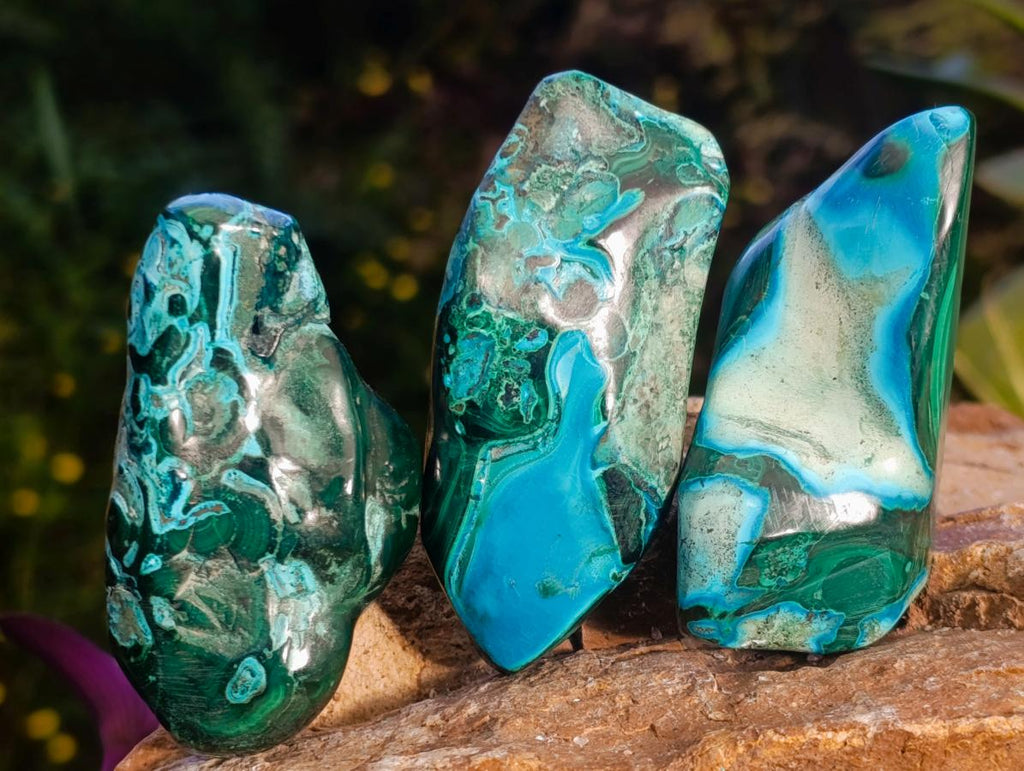 Polished Malacolla Free Forms x 12 From Kulukuluku, Congo - Toprock Gemstones and Minerals 