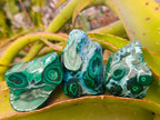 Polished Malacolla Free Forms x 12 From Kulukuluku, Congo - Toprock Gemstones and Minerals 