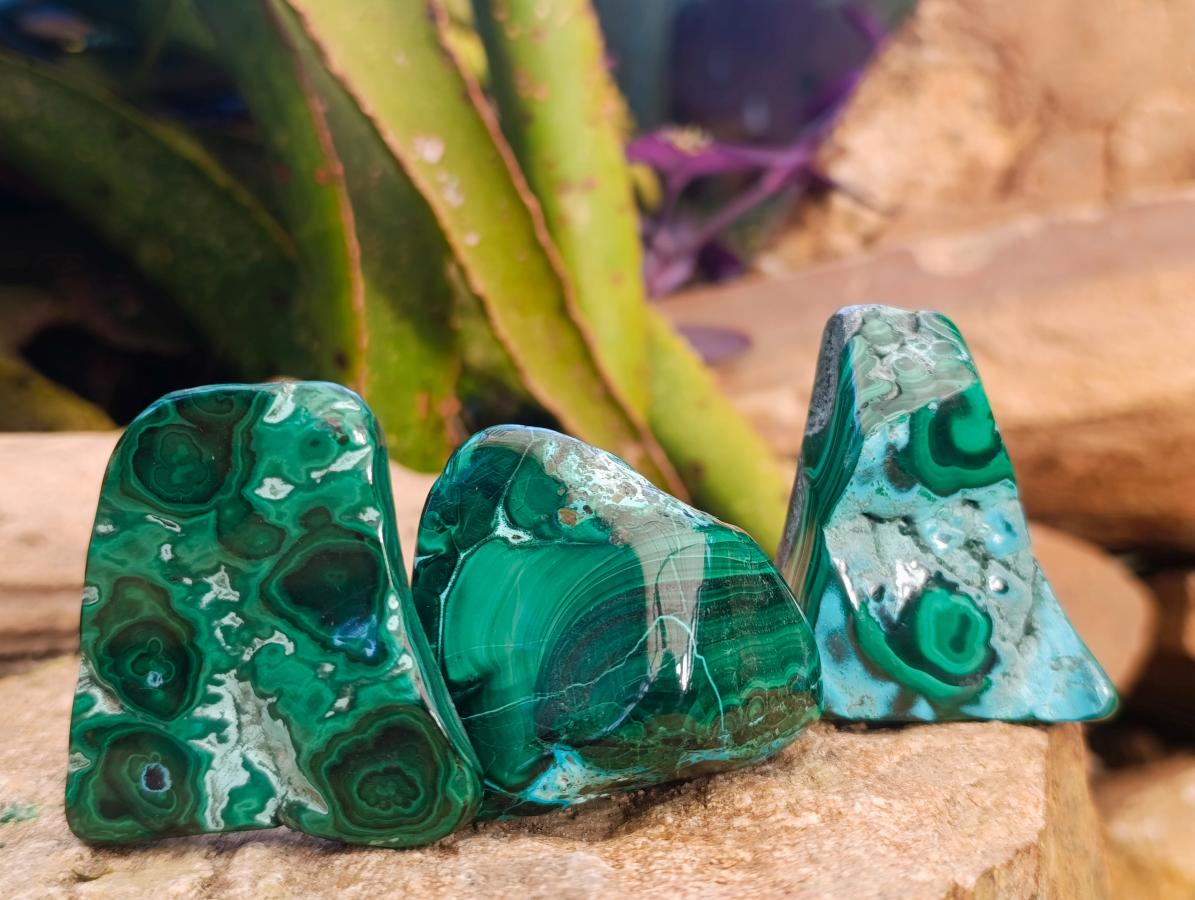 Polished Malacolla Free Forms x 12 From Kulukuluku, Congo - Toprock Gemstones and Minerals 