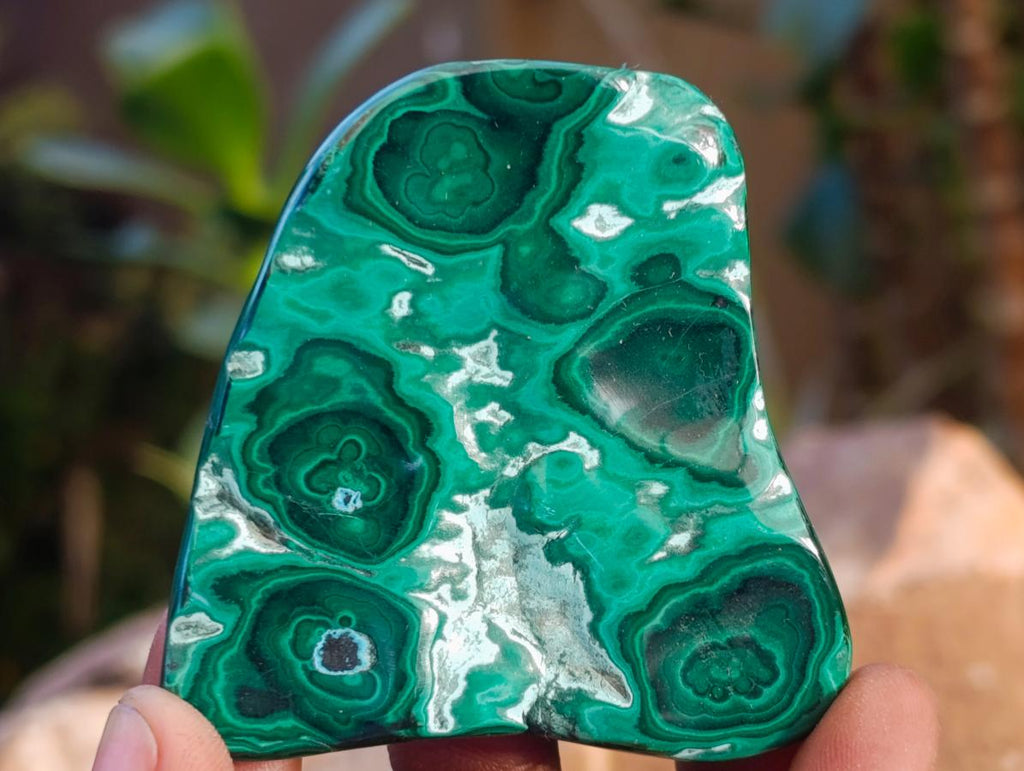 Polished Malacolla Free Forms x 12 From Kulukuluku, Congo - Toprock Gemstones and Minerals 