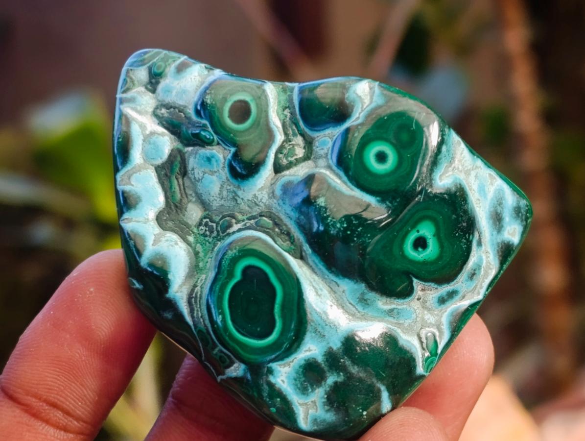 Polished Malacolla Free Forms x 12 From Kulukuluku, Congo - Toprock Gemstones and Minerals 