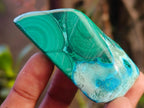 Polished Malacolla Free Forms x 12 From Kulukuluku, Congo - Toprock Gemstones and Minerals 