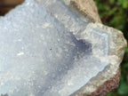 Natural Blue Lace Agate Geode Specimens x 3 From Nsanje, Malawi - Toprock Gemstones and Minerals 