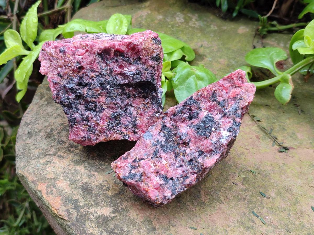 Natural Rhodonite Cobbed Specimens x 6 From Rhusinga, Zimbabwe - Toprock Gemstones and Minerals 