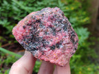 Natural Rhodonite Cobbed Specimens x 6 From Rhusinga, Zimbabwe - Toprock Gemstones and Minerals 