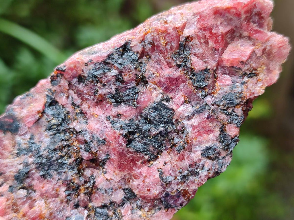 Natural Rhodonite Cobbed Specimens x 6 From Rhusinga, Zimbabwe - Toprock Gemstones and Minerals 
