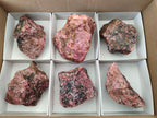 Natural Rhodonite Cobbed Specimens x 6 From Rhusinga, Zimbabwe - Toprock Gemstones and Minerals 