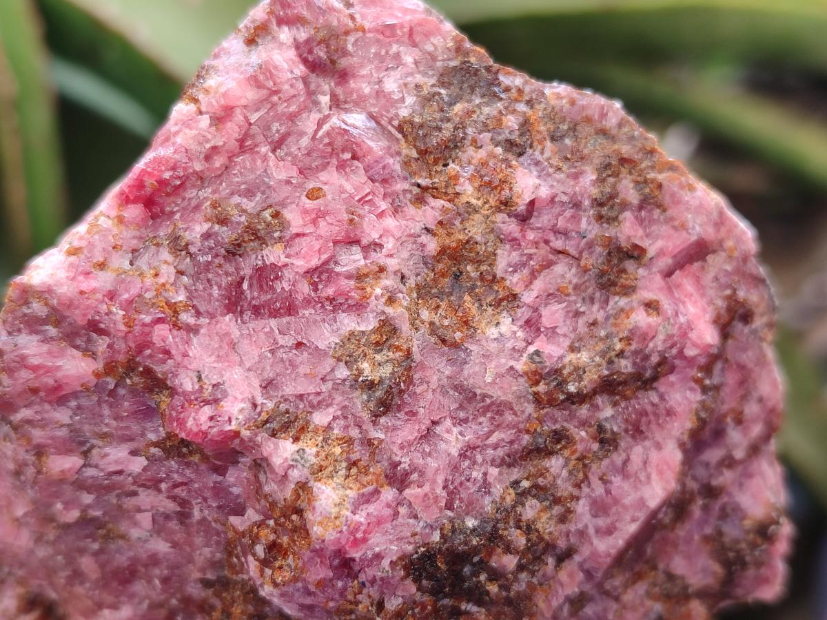 Natural Rhodonite Cobbed Specimens x 6 From Rhusinga, Zimbabwe - Toprock Gemstones and Minerals 