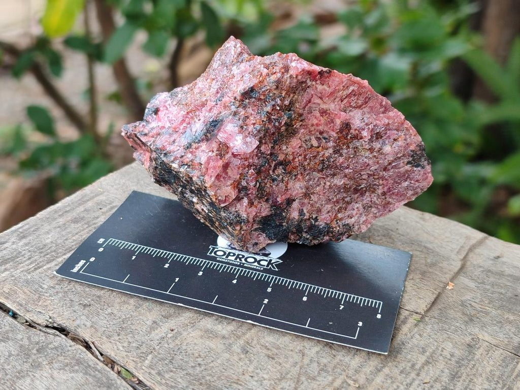 Natural Rhodonite Cobbed Specimens x 6 From Rhusinga, Zimbabwe - Toprock Gemstones and Minerals 