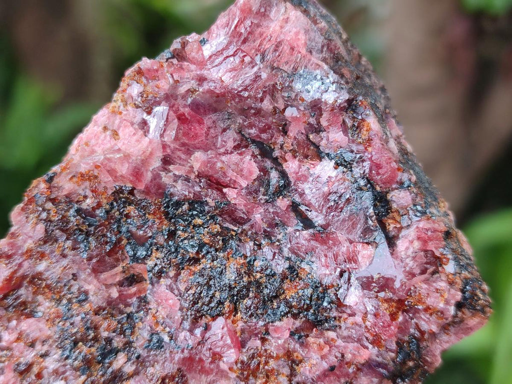 Natural Rhodonite Cobbed Specimens x 6 From Rhusinga, Zimbabwe - Toprock Gemstones and Minerals 
