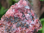 Natural Rhodonite Cobbed Specimens x 6 From Rhusinga, Zimbabwe - Toprock Gemstones and Minerals 