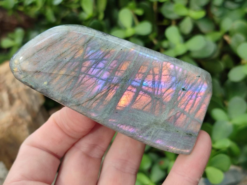 Polished Rare Purple Sunset Flash Labradorite Standing Display Pieces x 6 From Madagascar - Toprock Gemstones and Minerals 