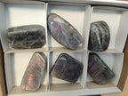 Polished Rare Purple Sunset Flash Labradorite Standing Display Pieces x 6 From Madagascar - Toprock Gemstones and Minerals 