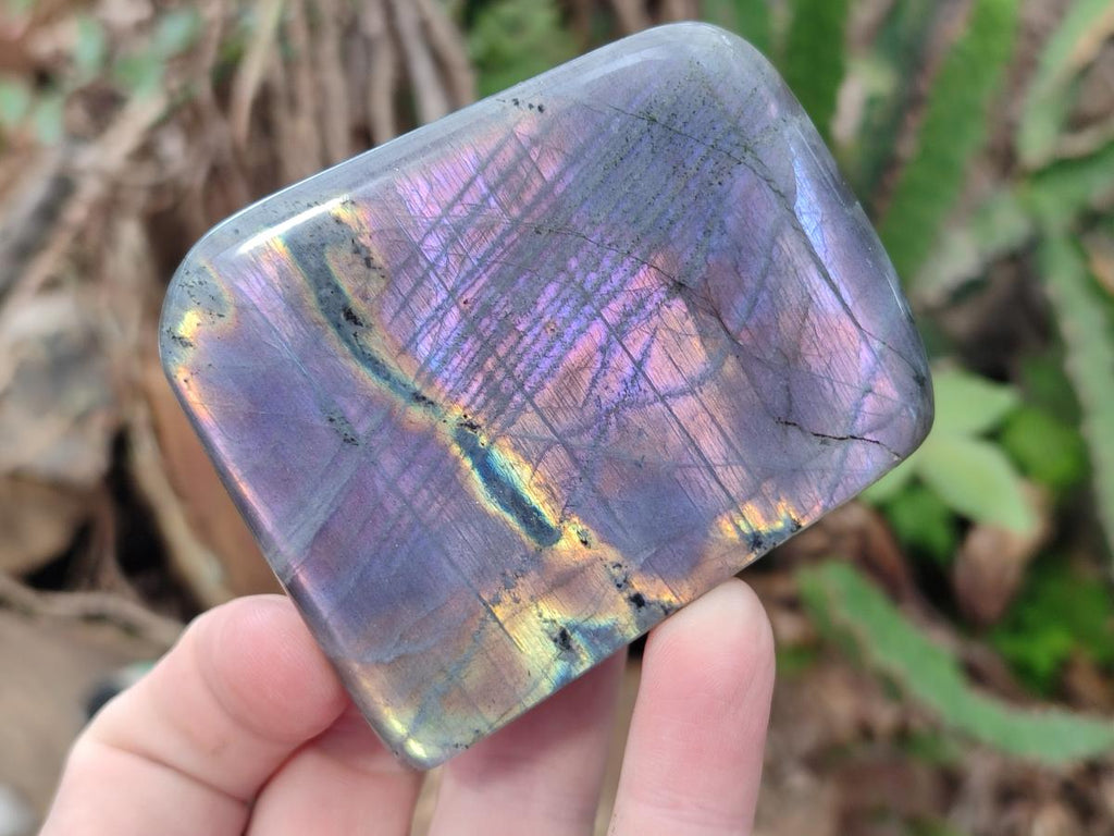 Polished Rare Purple Sunset Flash Labradorite Standing Display Pieces x 6 From Madagascar - Toprock Gemstones and Minerals 