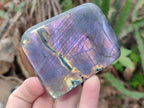 Polished Rare Purple Sunset Flash Labradorite Standing Display Pieces x 6 From Madagascar - Toprock Gemstones and Minerals 