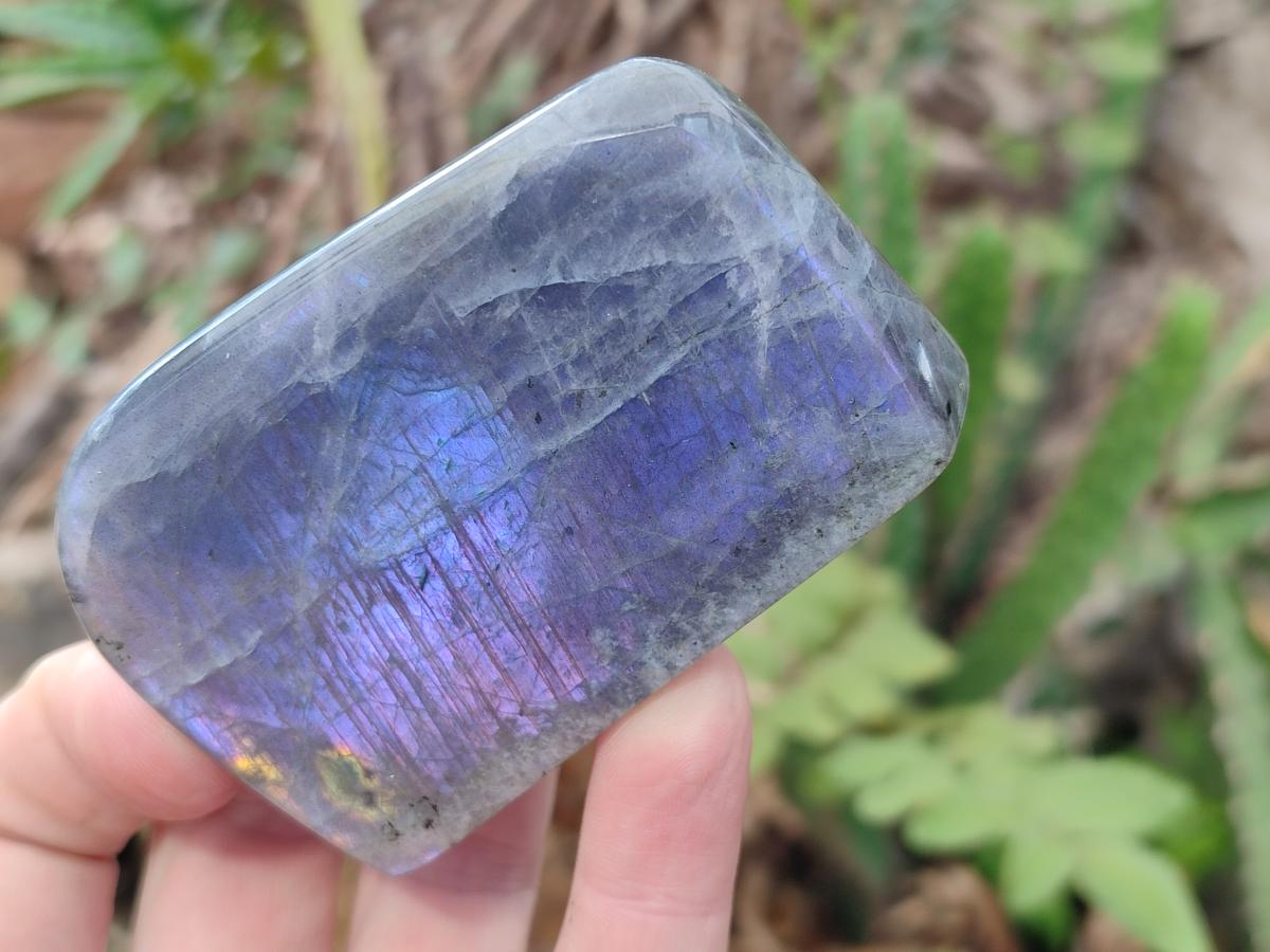 Polished Rare Purple Sunset Flash Labradorite Standing Display Pieces x 6 From Madagascar - Toprock Gemstones and Minerals 