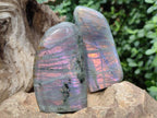 Polished Rare Purple Sunset Flash Labradorite Standing Display Pieces x 6 From Madagascar - Toprock Gemstones and Minerals 